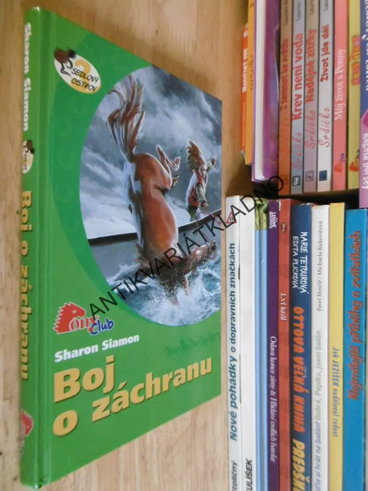 BOJ O ZÁCHRANU, SHARON SIAMON, *an