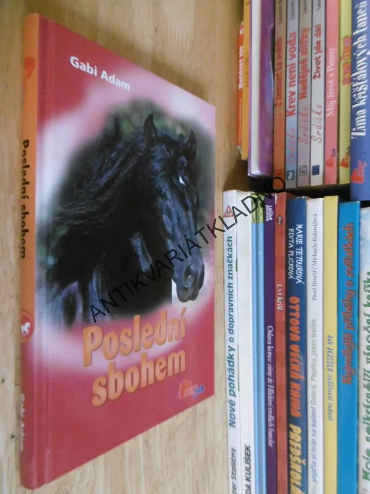 POSLEDNÍ SBOHEM, GABI ADAM, **an