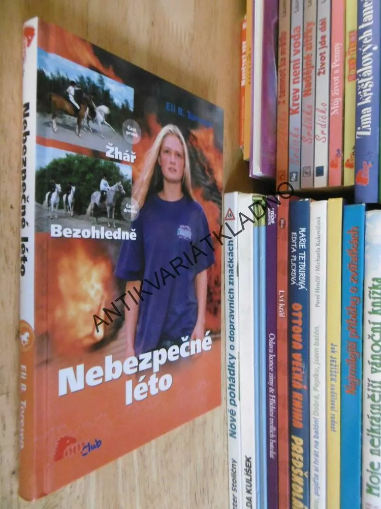 NEBEZPEČNÉ LÉTO 1, ELI B. TORESEN, *an