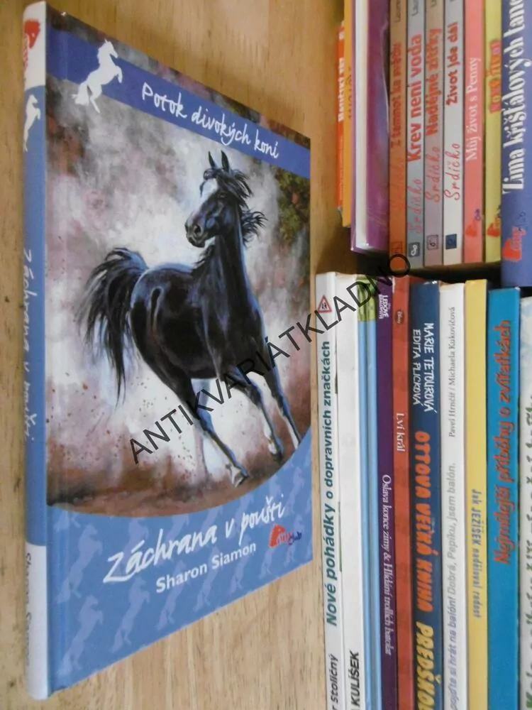 ZÁCHRANA V POUŠTI, SHARON SIAMON, *an