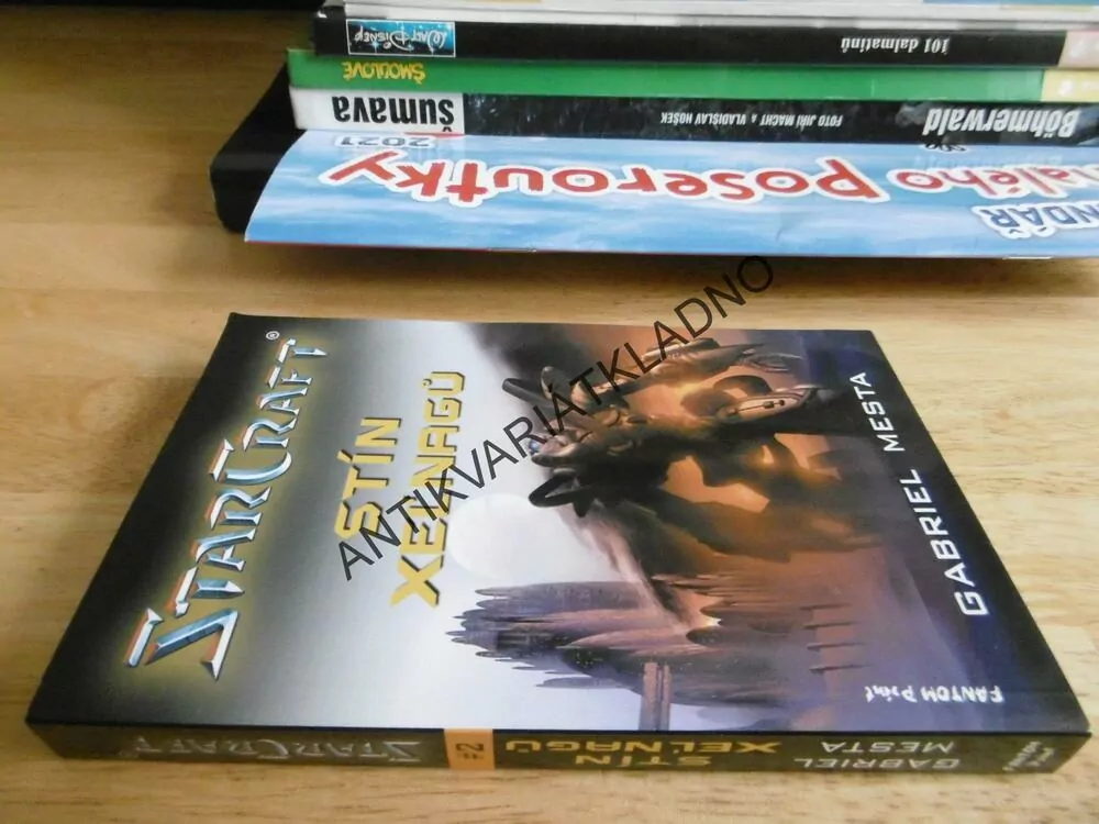 STARCRAFT, STÍN XELNAGŮ, GABRIEL MESTA, **an
