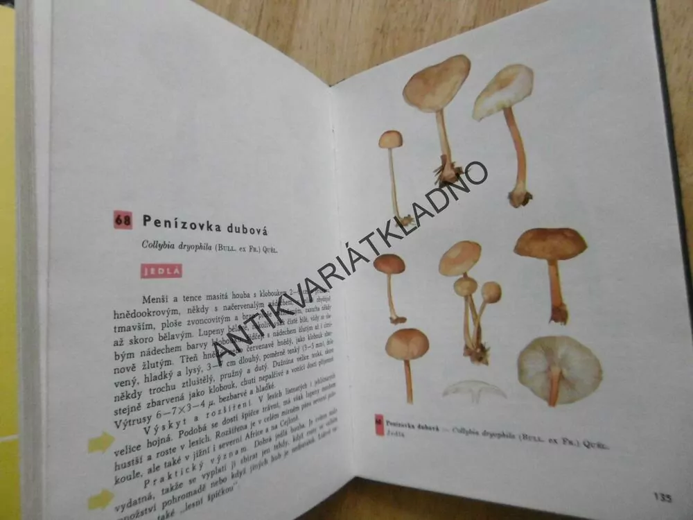 KAPESNÍ ATLAS HUB, PILÁT, UŠÁK,  HOUBY, **an