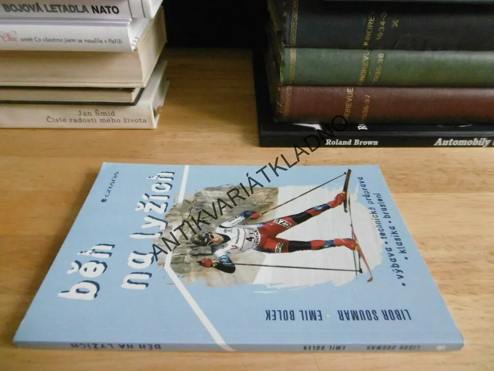 BĚH NA LYŽÍCH, LYŽOVÁNÍ, LYŽE, SPORT,SOUMAR, BOLEK, **an
