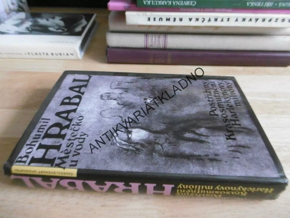 MĚSTEČKO U VODY, BOHUMIL HRABAL, **an