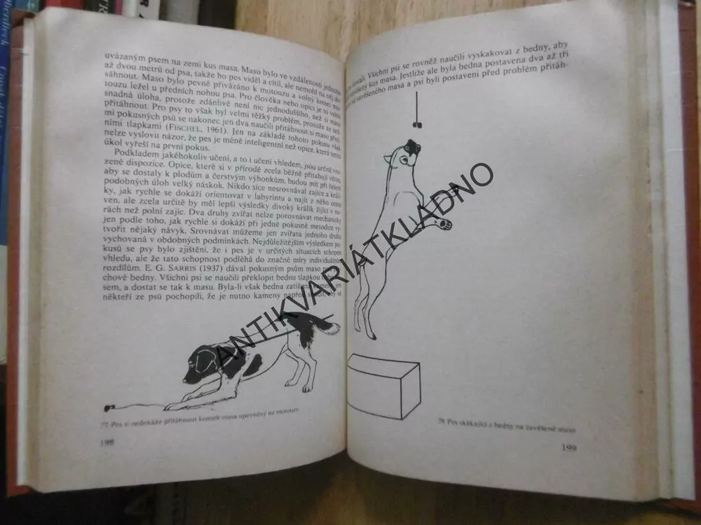 POZNEJ SVÉHO PSA, VLADIMÍR MIKULICA, stav A1, bez vyšis.hřbetu !! **n