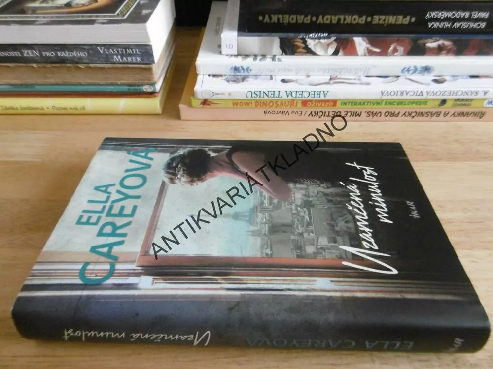 UZAMČENÁ MINULOST, ELLA CAREYOVÁ, **an