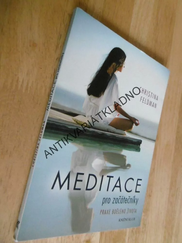 MEDITACE PRO ZAČÁTEČNÍKY, PRAXE BDĚLÉHO ŽIVOT, CHRISTINA FELDMAN, **an