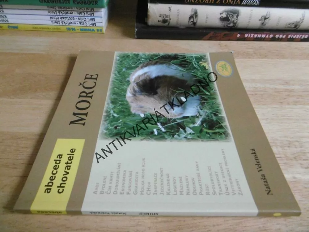 MORČE, ABECEDA CHOVATELE, NATAŠA VELENSKÁ