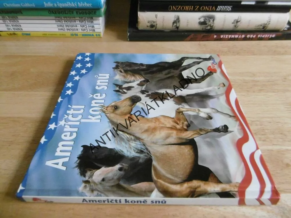 AMERIČTÍ KONĚ SNŮ, **an