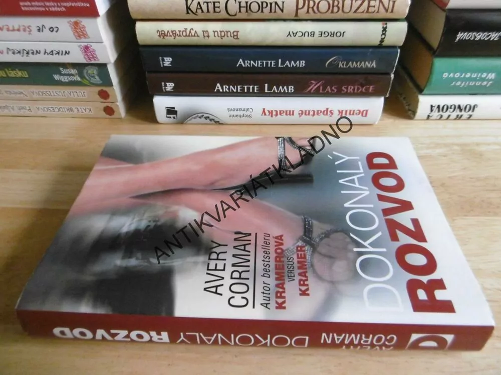 DOKONALÝ ROZVOD, AVERY CORMAN, **an