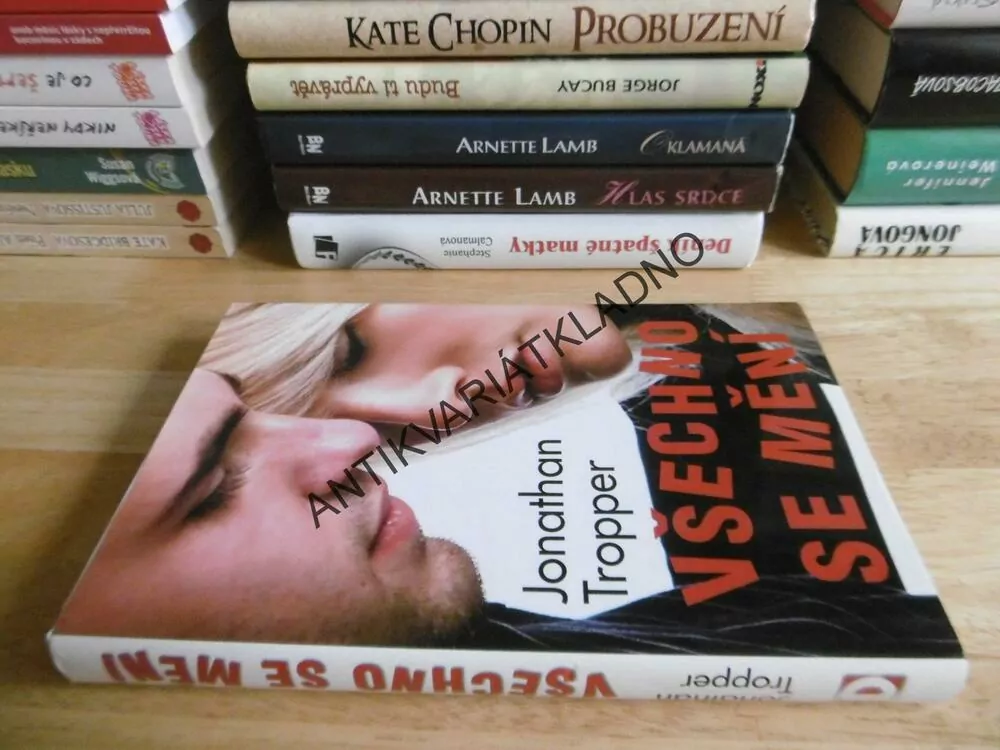 VŠECHNO SE MĚNÍ, JONATHAN TROPPER, **an