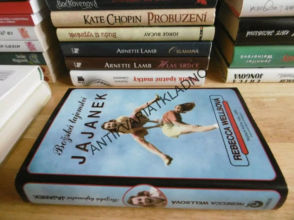 BOŽSKÁ TAJEMSTVÍ JAJANEK, REBECCA WELLSOVÁ, **an