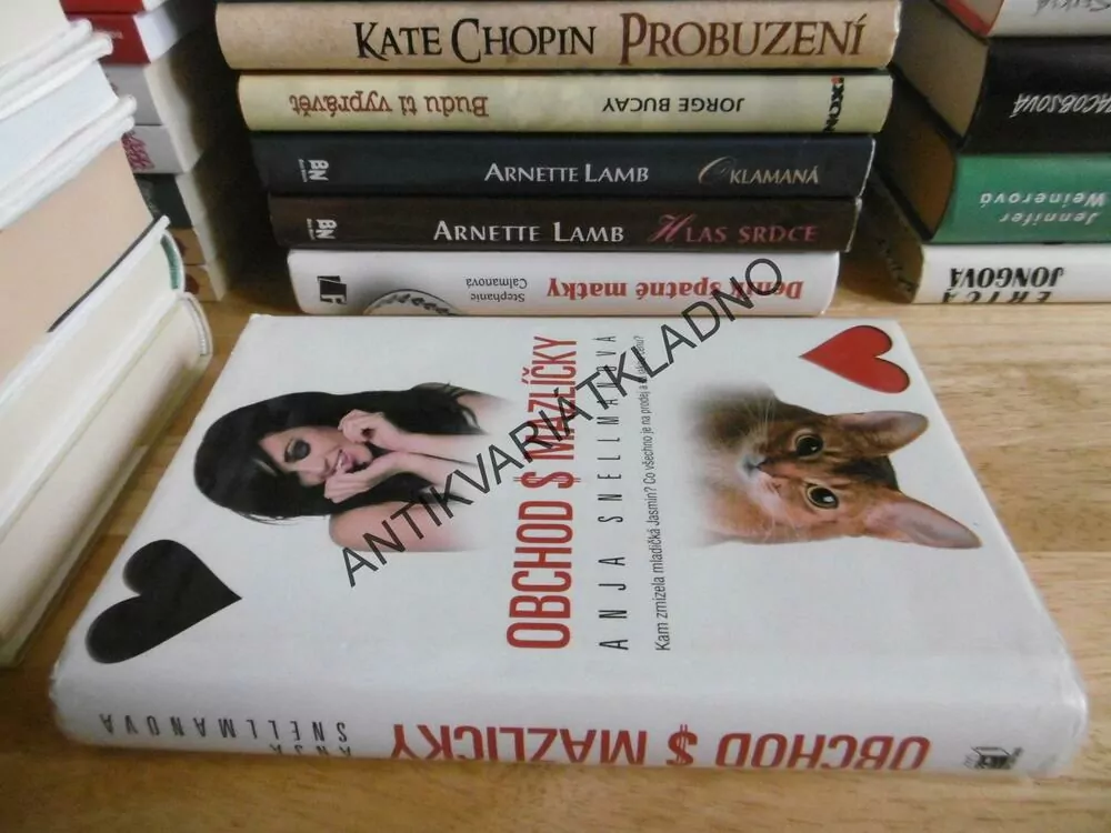 OBCHOD S MAZLÍČKY, ANJA SNELLMANOVÁ, **an