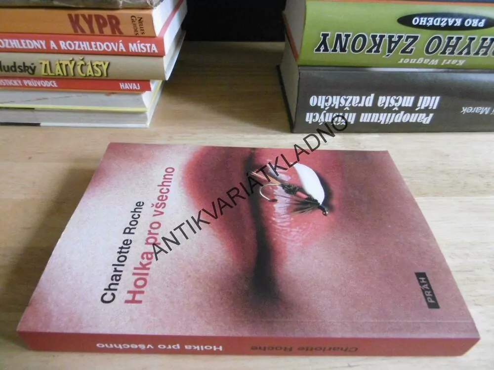 HOLKA PRO VŠECHNO, CHARLOTTE ROCHEOVÁ,ROCHE, **an