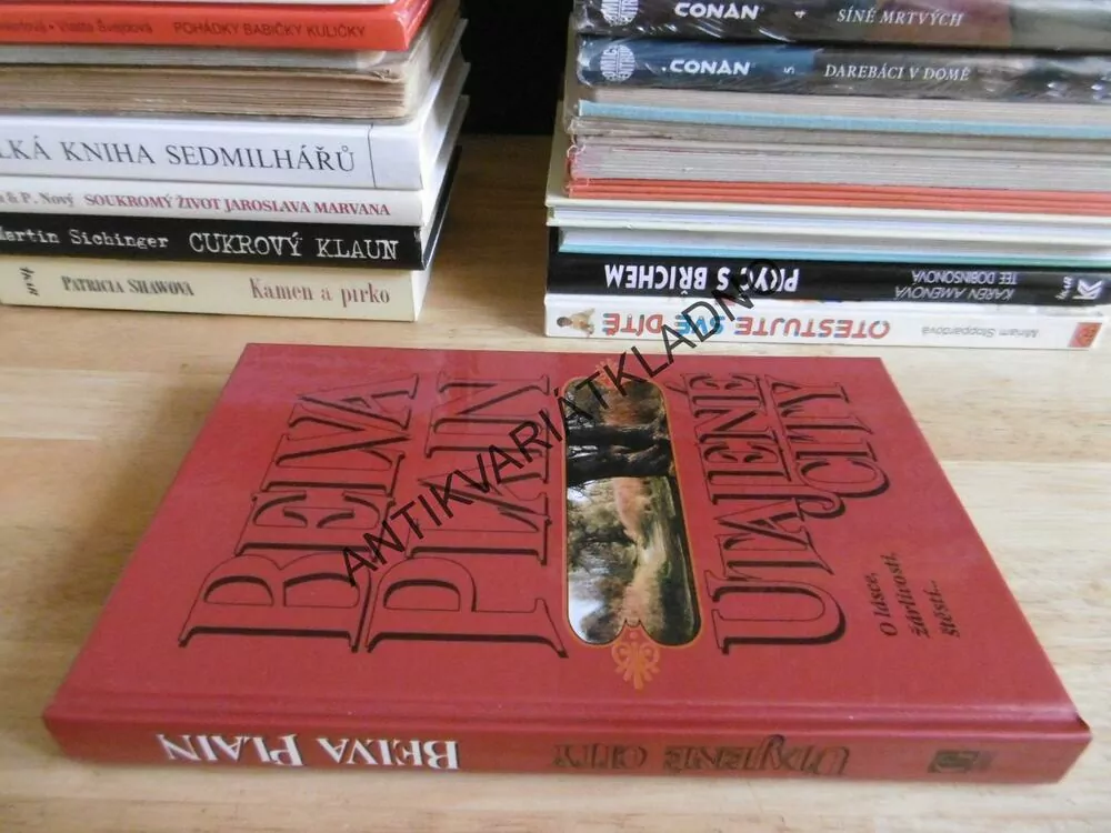 UTAJENÉ CITY, BELVA PLAINOVÁ, **an