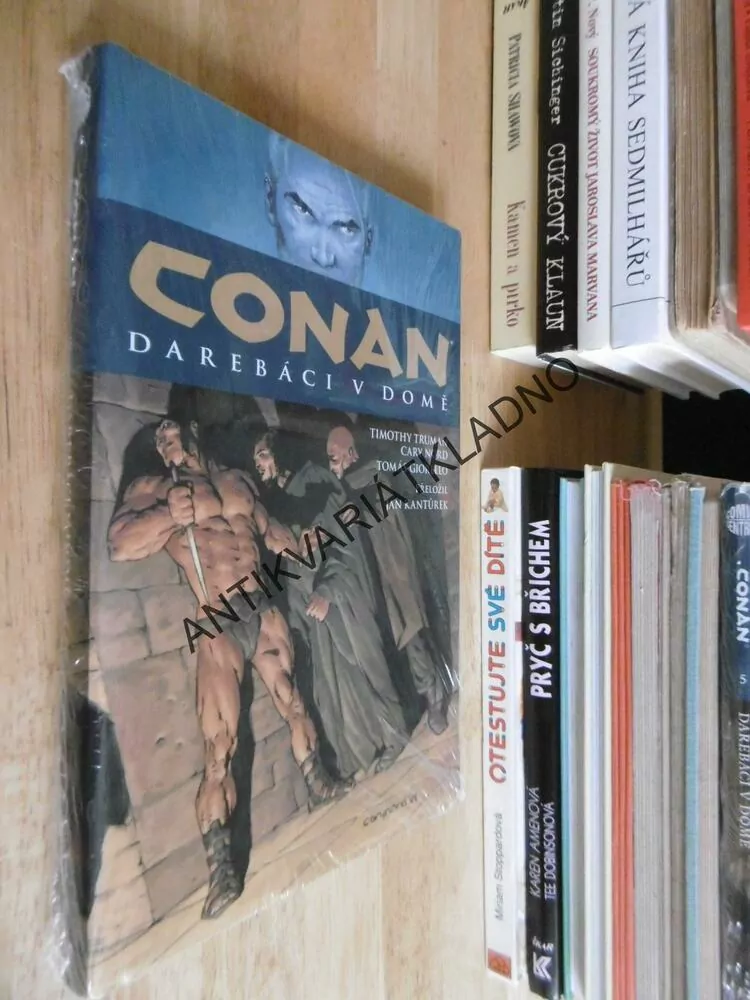 CONAN DAREBÁCI V DOMĚ, KOMIKS, BUSIEK, CARY NORD, **an
