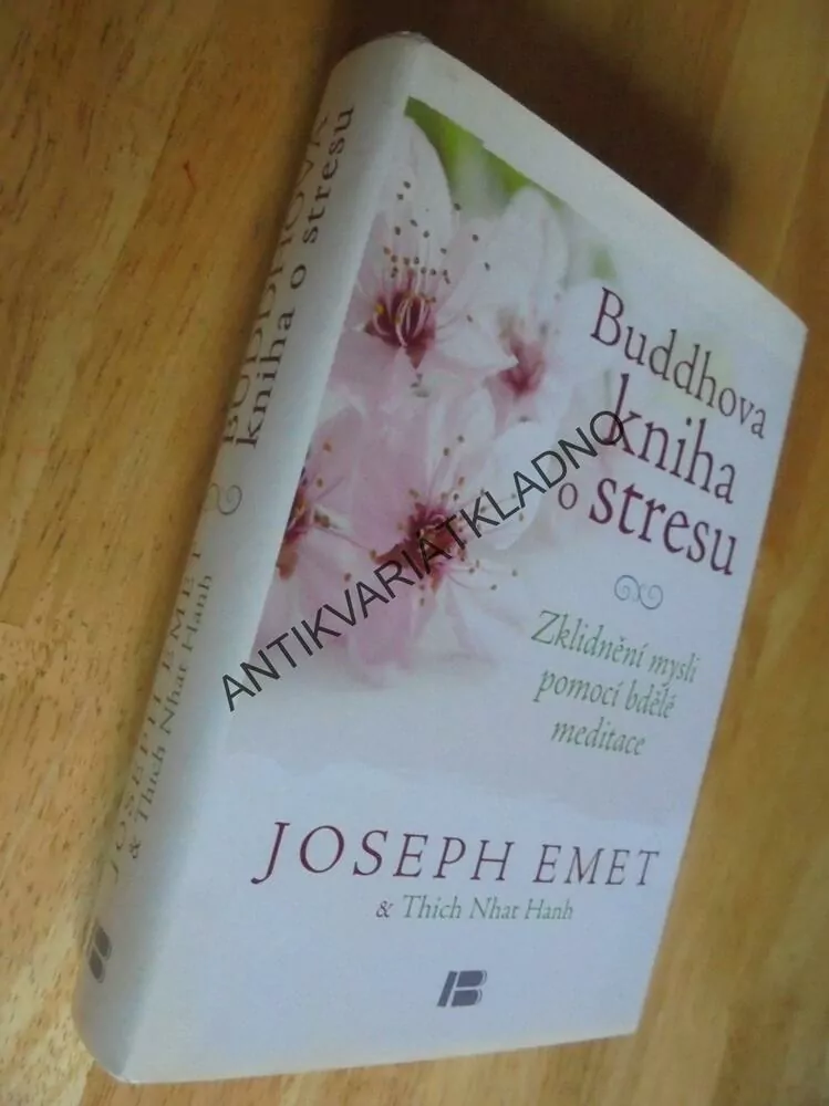 BUDDHOVA KNIHA O STRESU, JOSEPH EMET,MYSL,MEDITACE