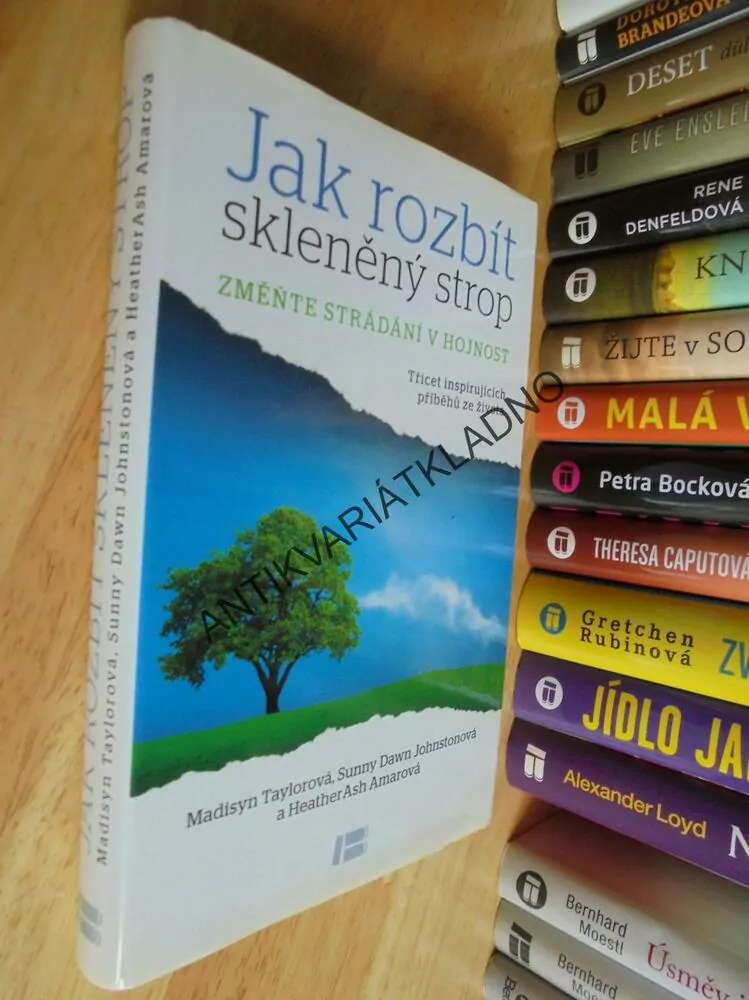 JAK ROZBÍT SKLENĚNÝ STROP, STRÁDÁNÍ V HOJNOST,
