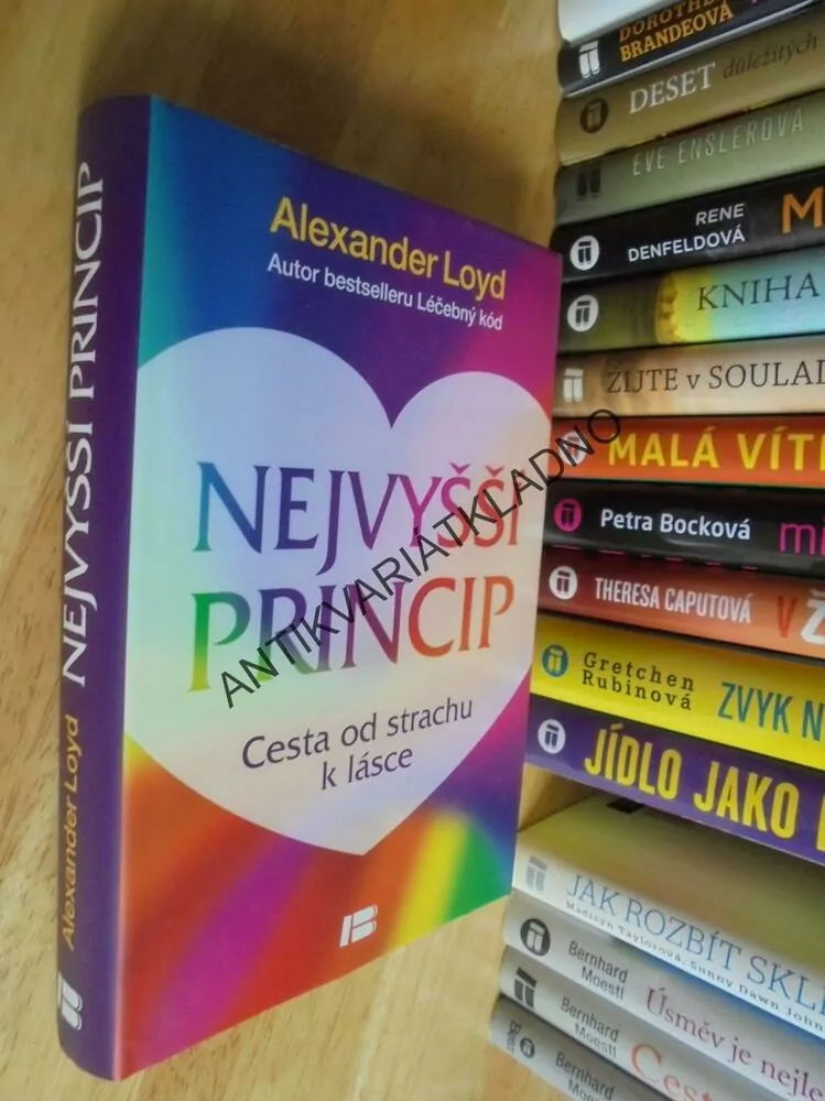 NEJVYŠŠÍ PRINCIP, CESTA OD STRACHU K LÁSCE,LOYD