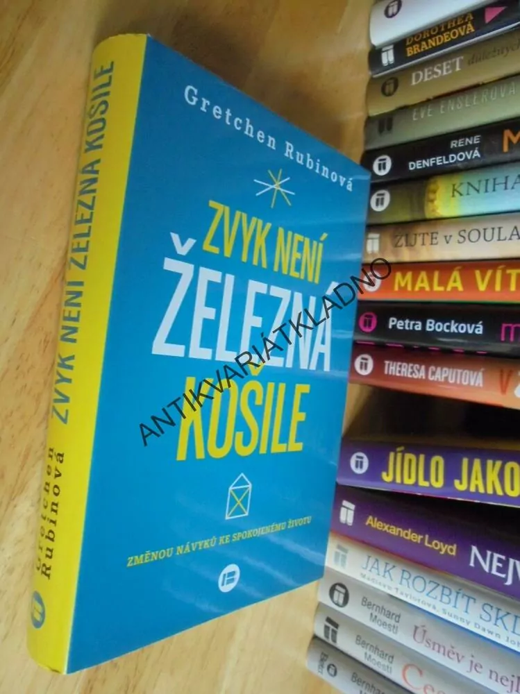 ZVYK NENÍ ŽELEZNÁ KOŠILE, GRETCHEN RUBINOVÁ, **an
