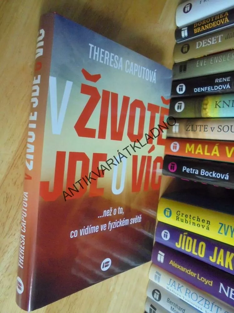 V ŽIVOTĚ JDE O VÍC, THERESA CAPUTOVÁ