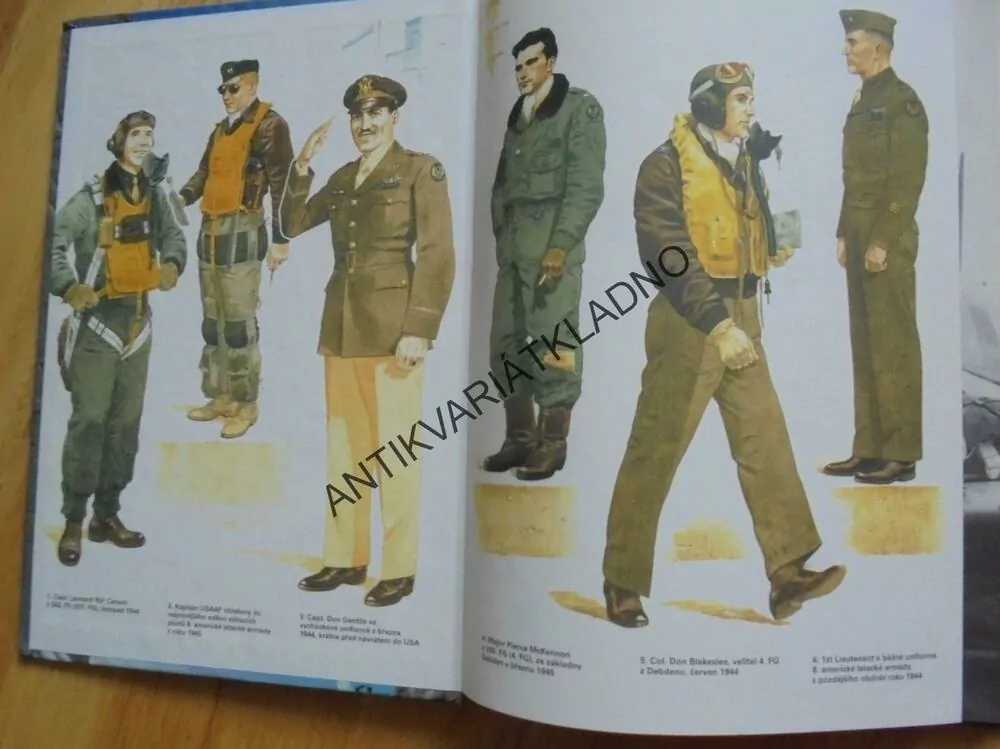 MUSTANGY STÍHACÍCH ES, 8.USAAF, SCUTTS,LETECTVÍ