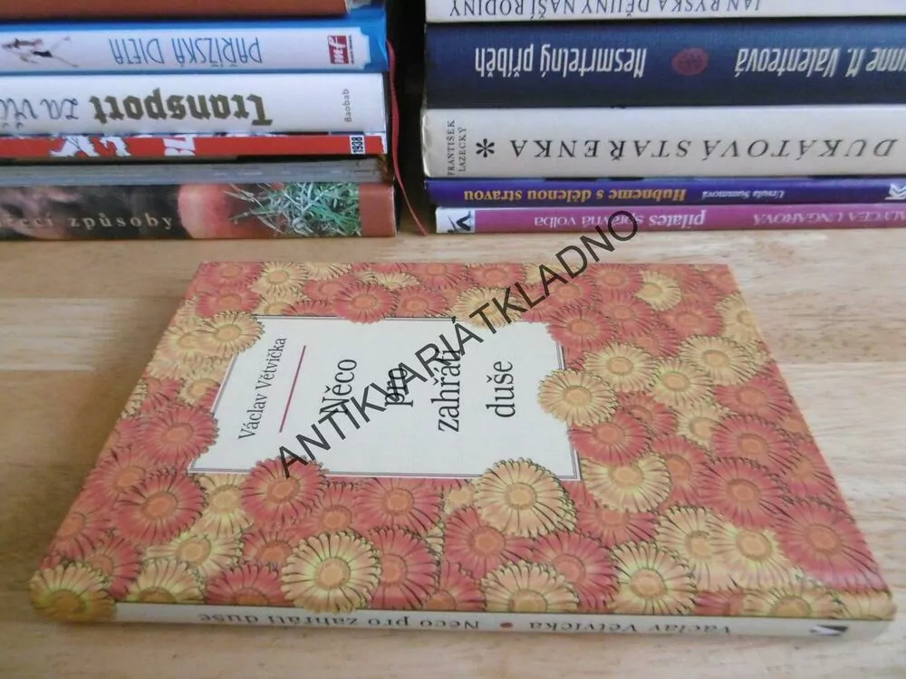 NĚCO PRO ZAHŘÁTÍ DUŠE, VÁCLAV VĚTVIČKA, **an