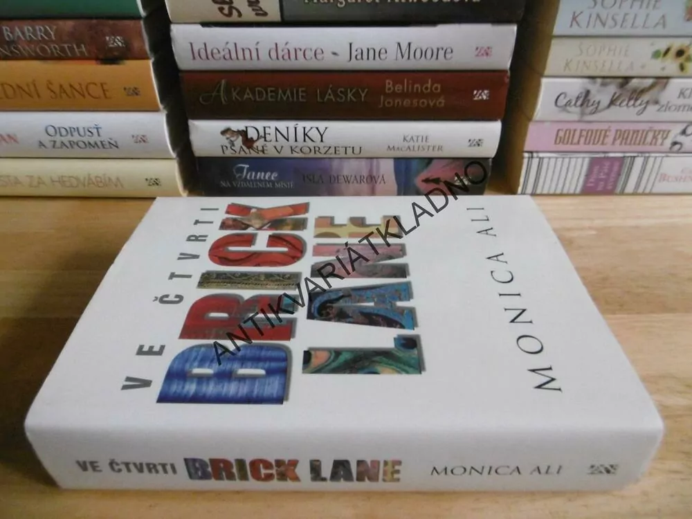 VE ČTVRTI BRICK LANE, MONICA ALI, **an