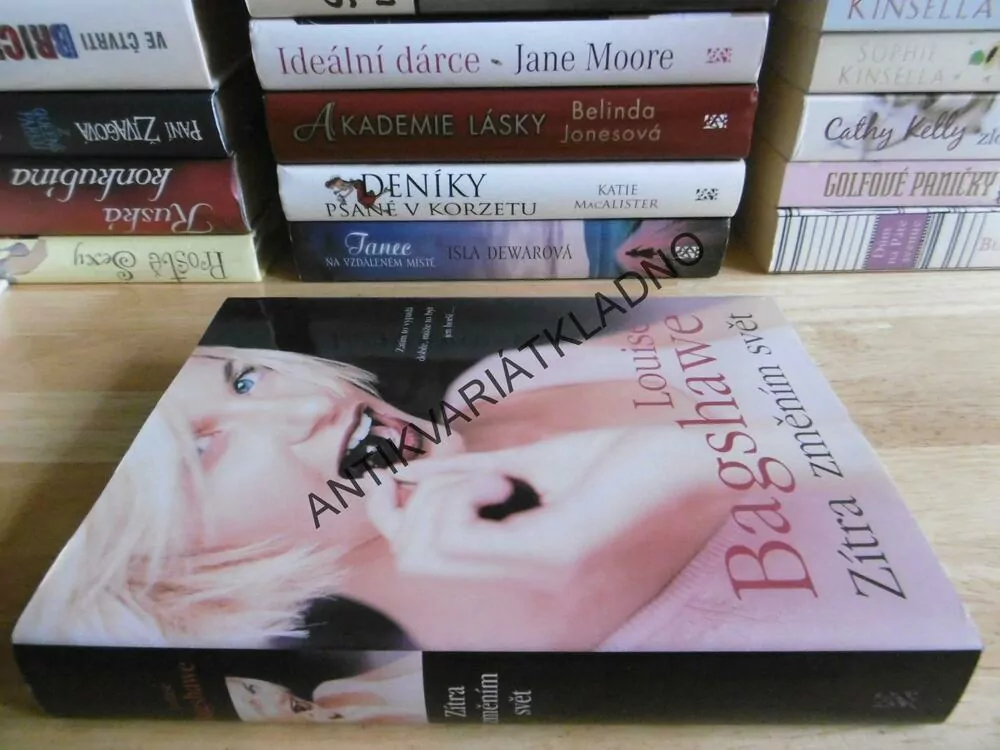 ZÍTRA ZMĚNÍM SVĚT, LOUISE BAGSHAWE, **an