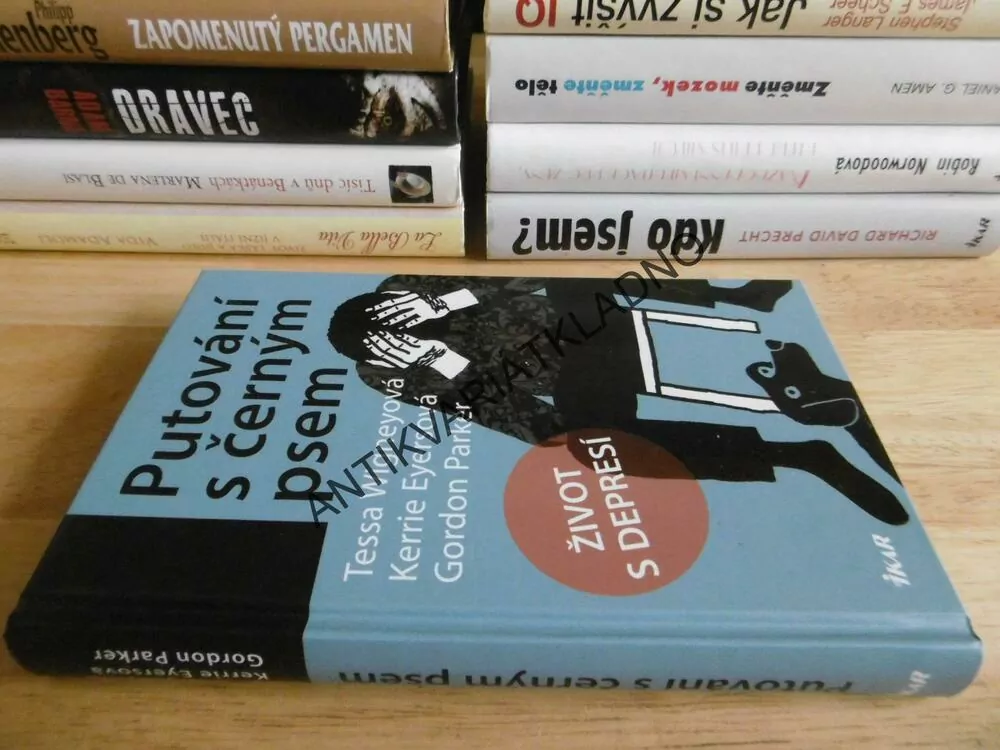 PUTOVÁNÍ S ČERNÝM PSEM, ŽIVOT S DEPRESÍ, TESSA WIGNEYOVÁ, **an