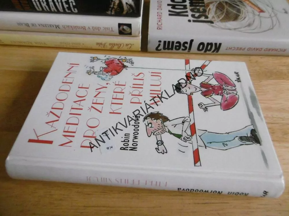 KAŽDODENNÍ MEDITACE PRO ŽENY, KTERÉ PŘÍLIŠ MILUJÍ, ROBIN NORWOODOVÁ, **an