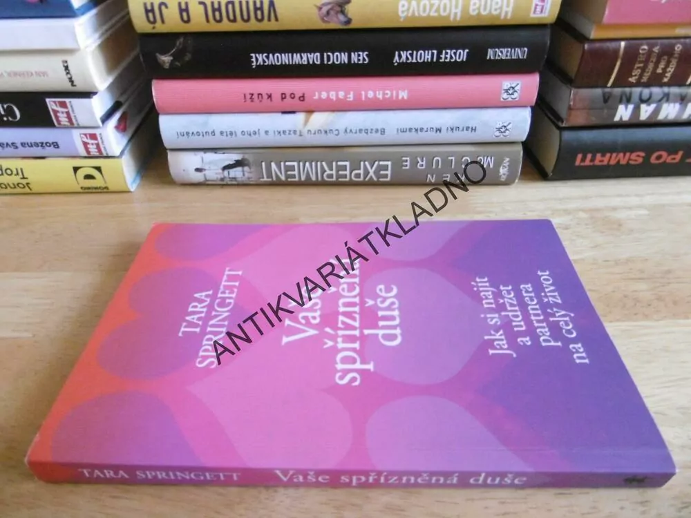 VAŠE SPŘÍZNĚNÁ DUŠE, TARA SPRINGETT, **an