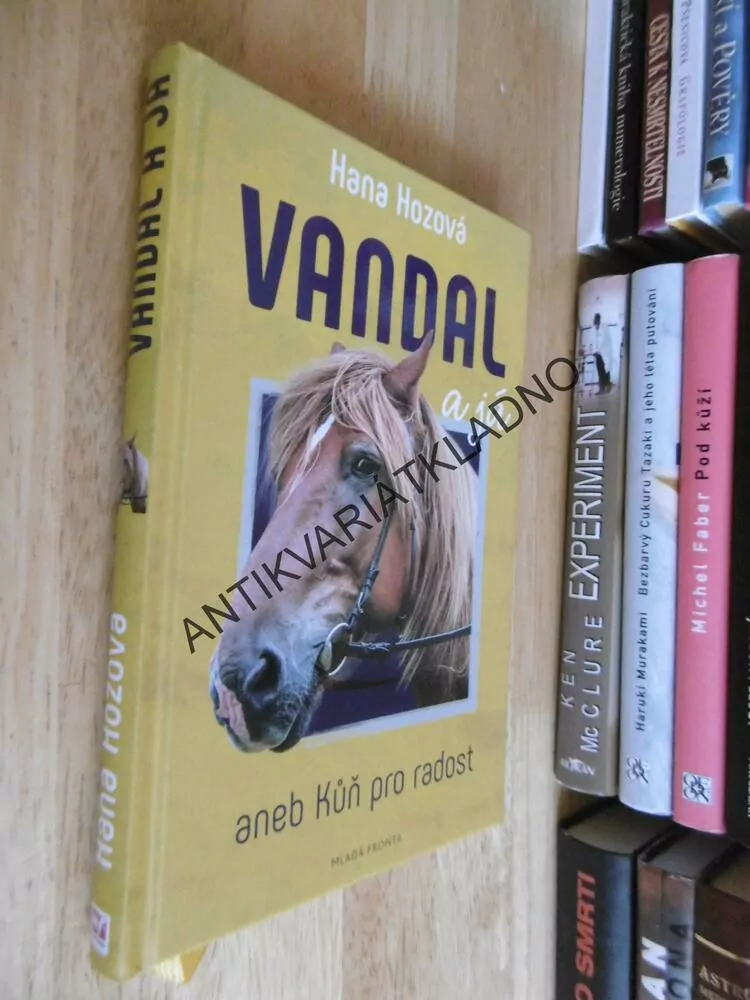 VANDAL A JÁ ANEB KŮŇ PRO RADOST, HANA HOZOVÁ, **an
