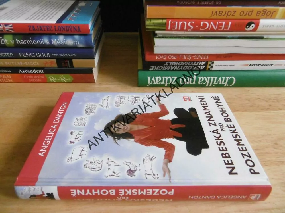 NEBESKÁ ZNAMENÍ PRO POZEMSKÉ BOHYNĚ, ANGELICA DANTON, **an
