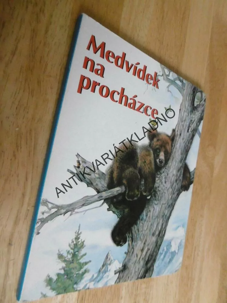 MEDVÍDEK NA PROCHÁZCE, **an