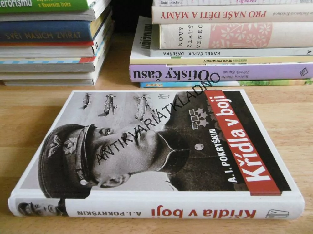 KŘÍDLA V BOJI, A.I. POKRYŠKIN, **an
