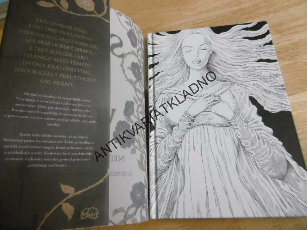 SPÁČKA A VŘETENO, NEIL GAIMAN, KOMIKS, **an
