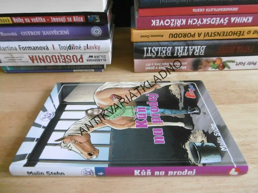 KŮŇ NA PRODEJ, MALIN STEHN, STÁJ V HUMLEBY, **an