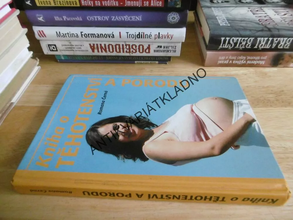 KNIHA O TĚHOTENSTVÍ A PORODU, ROMANA ČERNÁ, **an