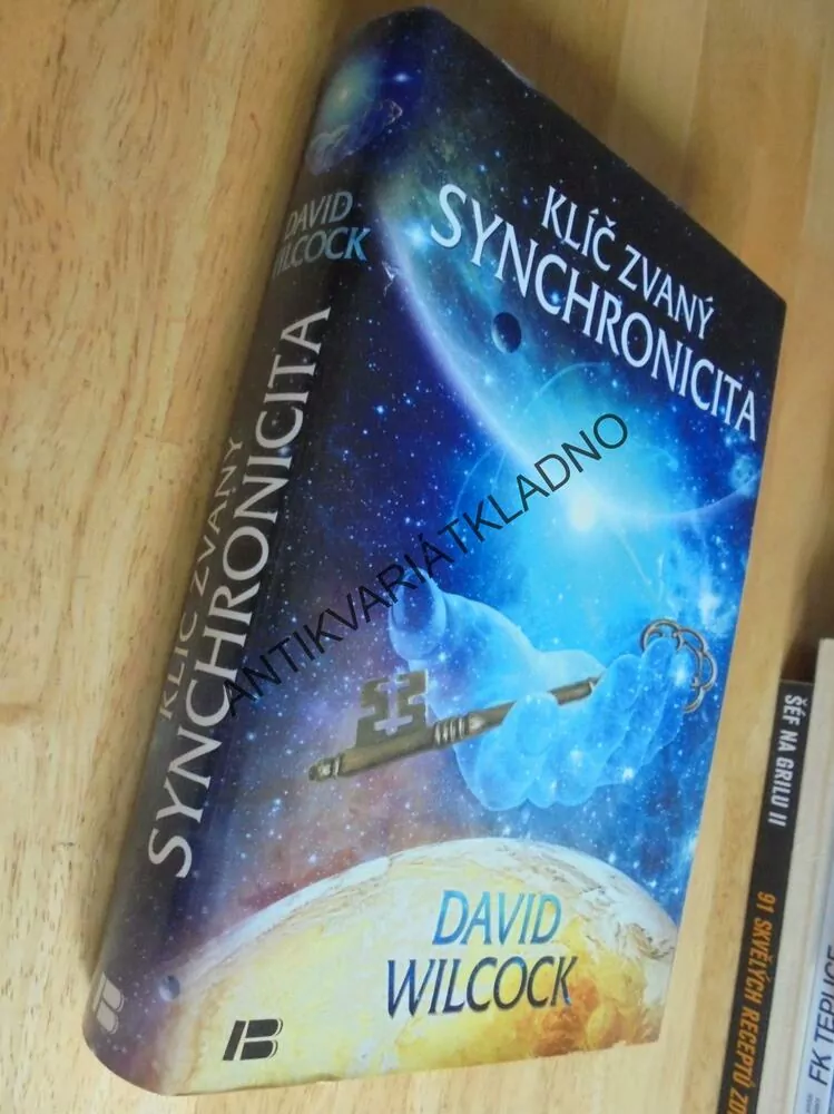KLÍČ ZVANÝ SYNCHRONICITA, DAVID WILCOCK