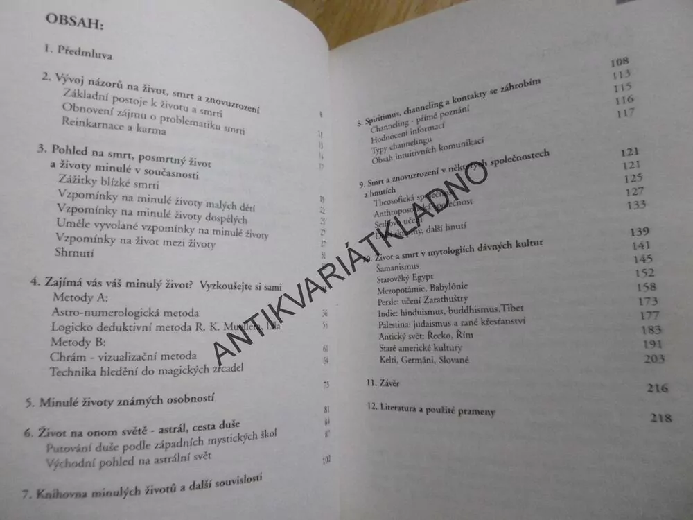 PRAKTICKÝ PRŮVODCE MINULÝMI ŽIVOTY, FLAŠÁROVÁ, HAUSNEROVÁ, **an