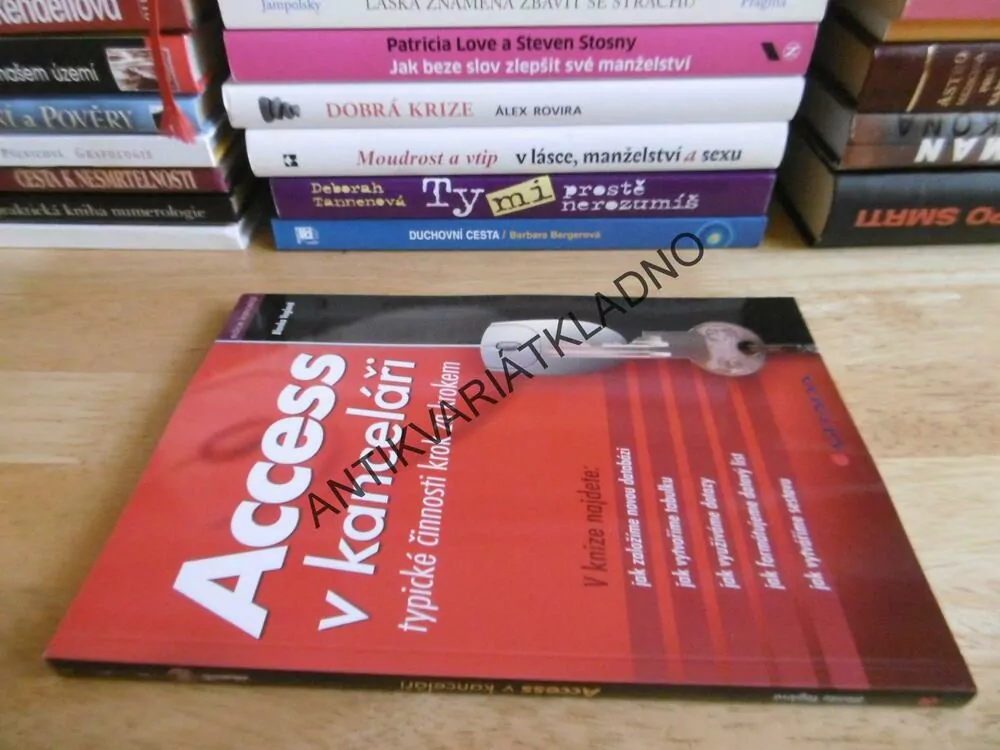 ACCESS V KANCELÁŘI, TYPICKÉ ČINNOSTI KROK ZA KROKEM, BLANKA VOGLOVÁ,**an