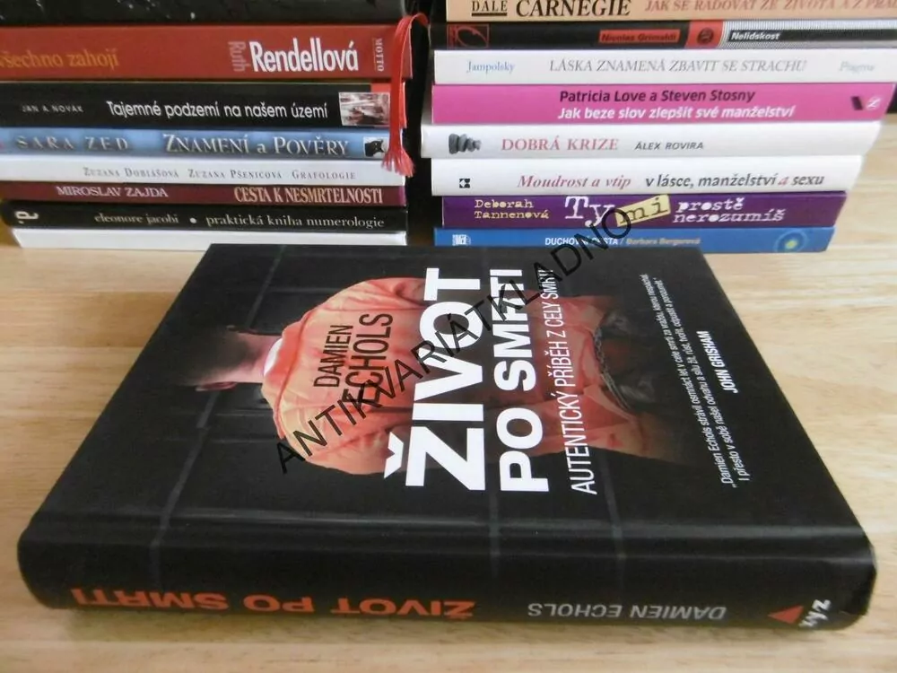 ŽIVOT PO SMRTI, DAMIEN ECHOLS, **an