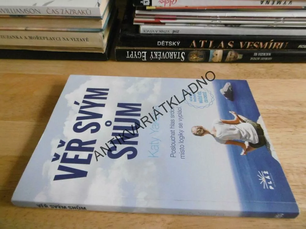 VĚŘ SVÝM SNŮM, KATY YAKSHA