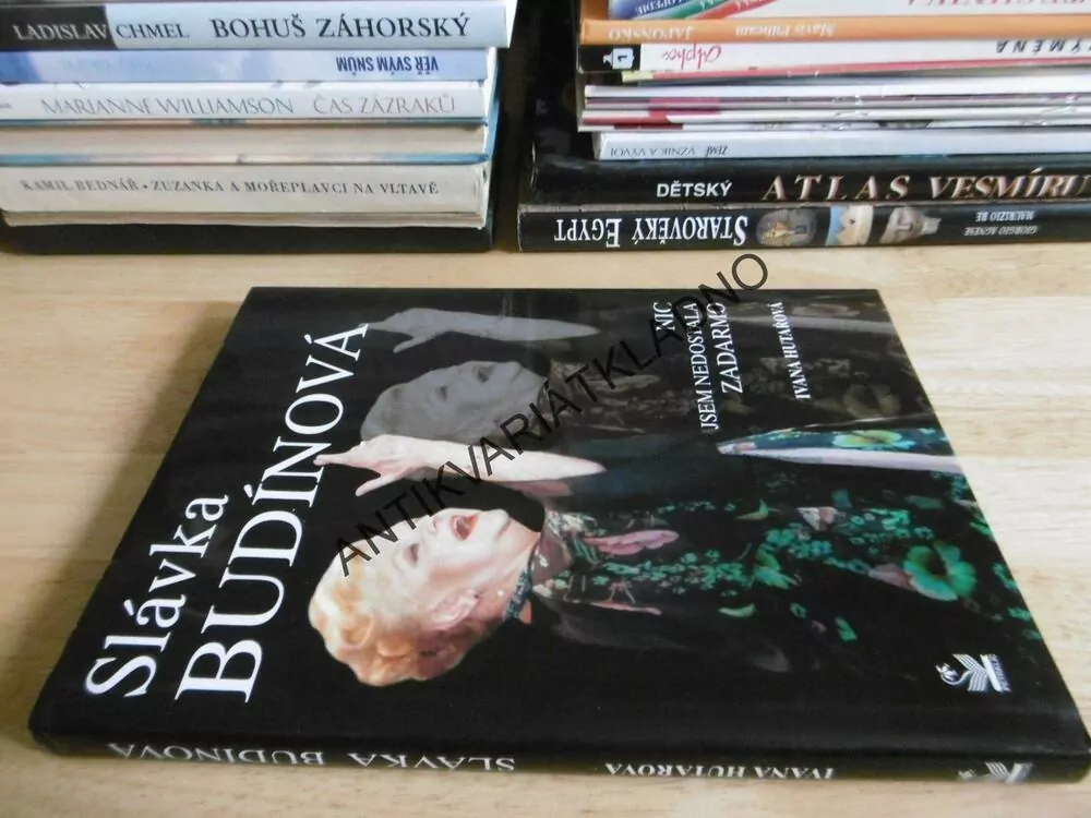 SLÁVKA BUDÍNOVÁ, NIC JSEM NEDOSTALA ZADARMO, IVANA HUTAŘOVÁ, **an