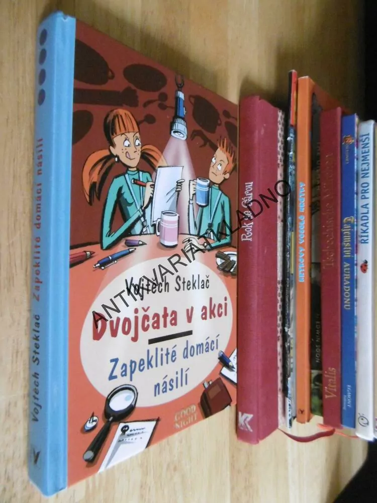 DVOJČATA V AKCI, ZAPEKLITÉ DOMÁCÍ NÁSILÍ, VOJTĚCH STEKLAČ, **an