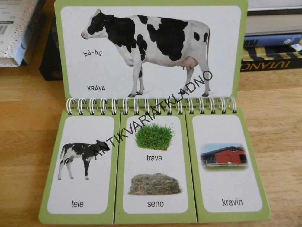 HRAVÁ LOGIKA, FARMA,