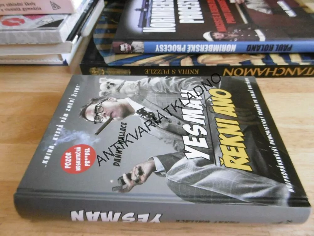 YESMAN ŘEKNI ANO, DANNY WALLACE, **an