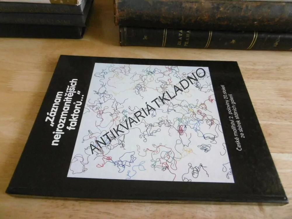 ZÁZNAM NEJROZMANITĚJŠÍCH FAKTORŮ...,ČESKÉ MALÍŘSTVÍ 2.POL. 20. ST. ZE SBÍREK STÁTNÍCH GALERIÍ, **an