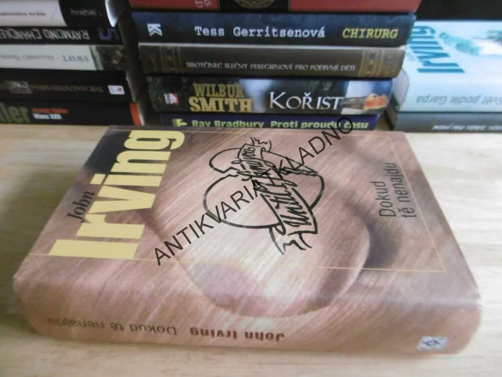 DOKUD TĚ NENAJDU, JOHN IRVING,**an